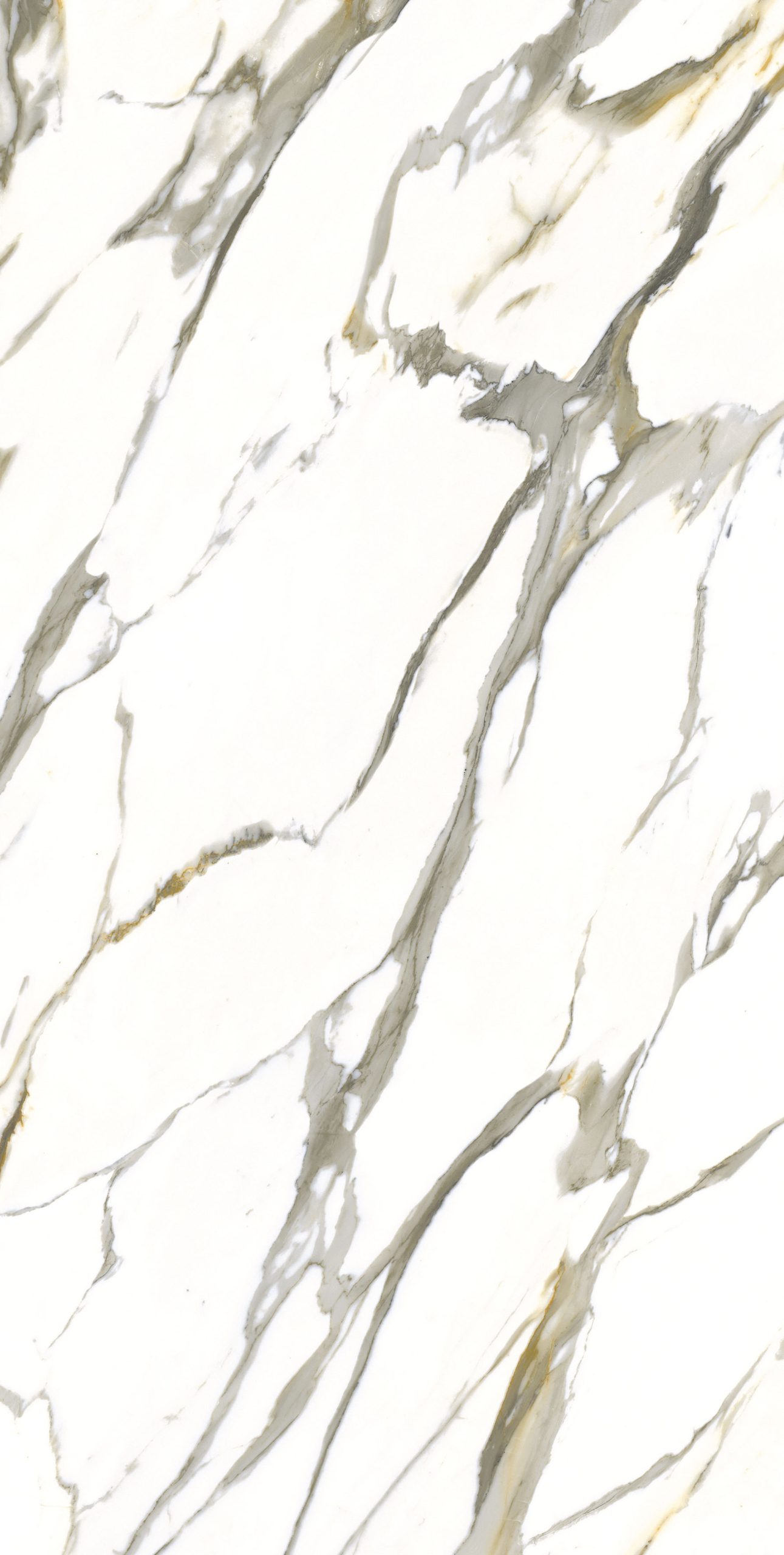 Calacatta Cream Light