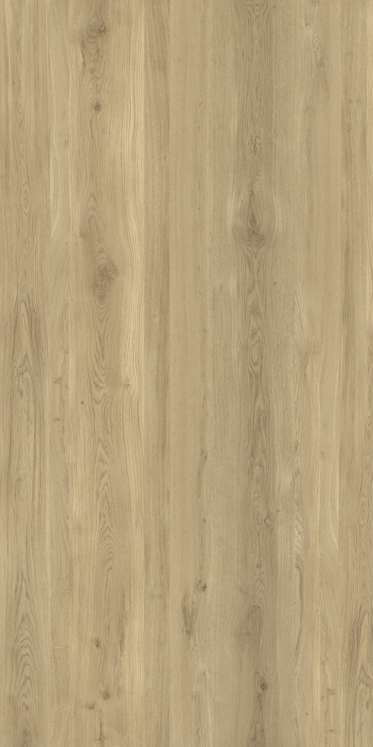 Wood Essence Oak